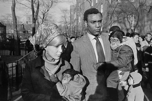 winogrand_central_park_zoo