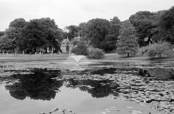 2012-08-19_NikonF6_AFS24-70mmf28D_BW099_IlfordSFX200_GreenWoodCemetery_040_web